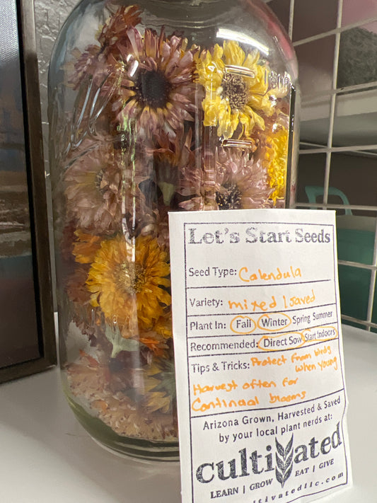 Calendula Seeds